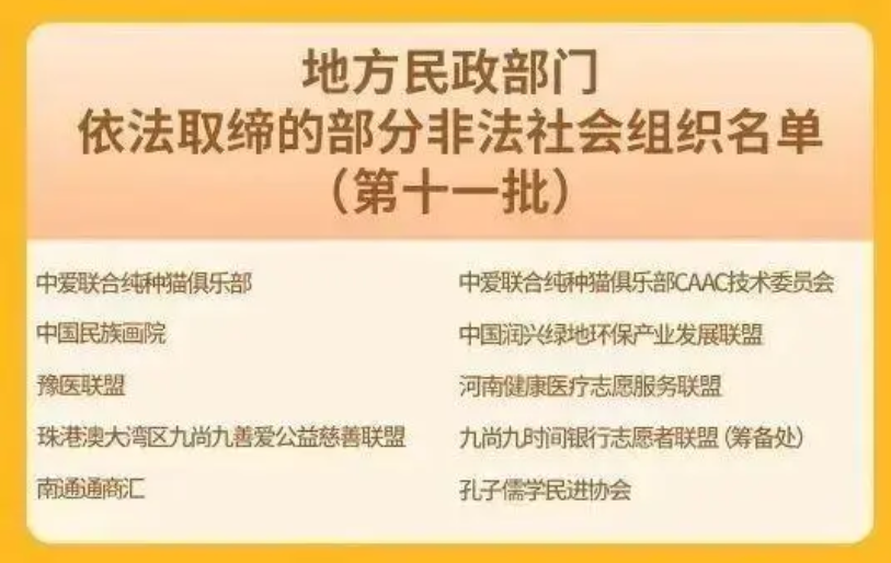 涉嫌非法社会组织名单(图22)