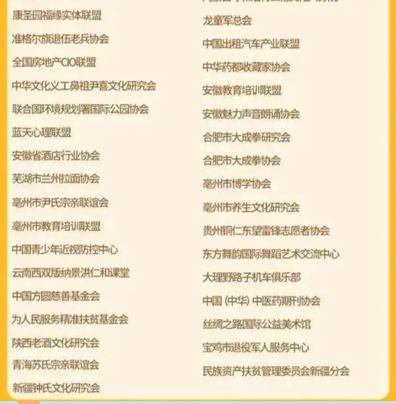 涉嫌非法社会组织名单(图33)